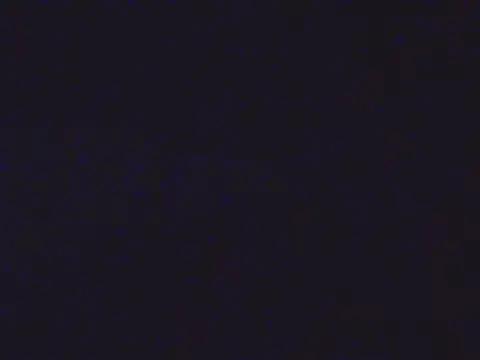 Iceybunny_