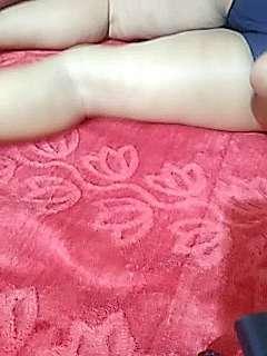 Indian_Love_Birds_SS