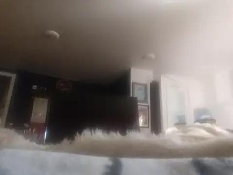 JRock69nKzoo