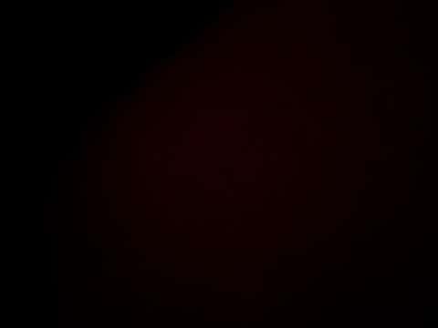 Joefucksbbw