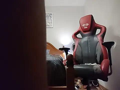 Johnwickedgame