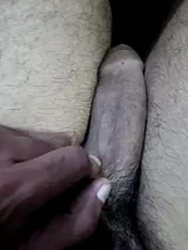 Junglii_Billi