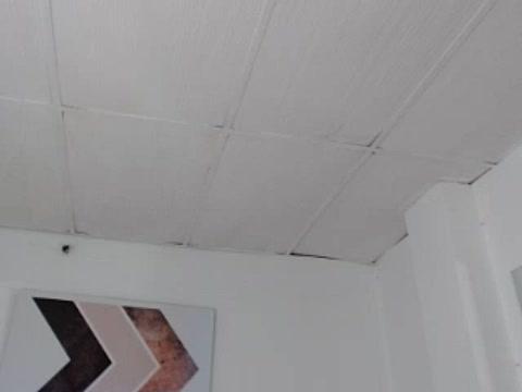 Lizsquirt
