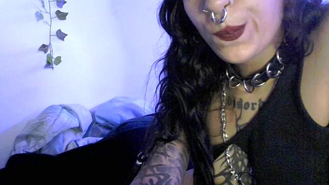 Mila_le_chat