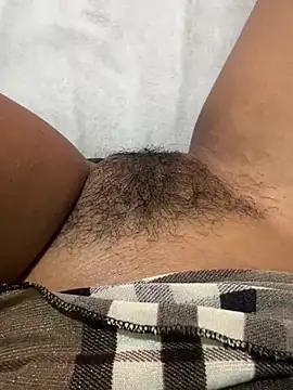 Mine3344