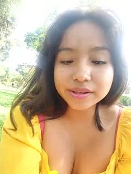 Modelo18