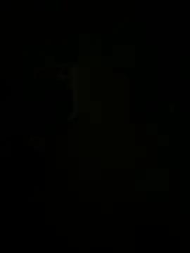 Molli97