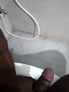 Mrveda66