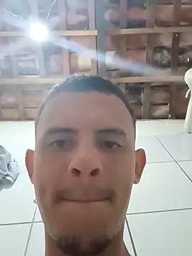 NOVINDOTAD20CM