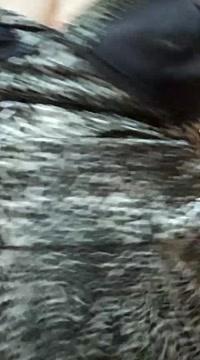 Naughty-Peeu-81