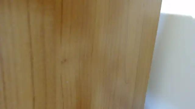 Pamela-StripX