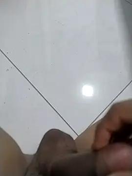 Pauzudodapicapreta