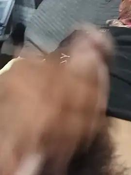 Perritascaseras18