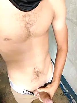 Pipisot