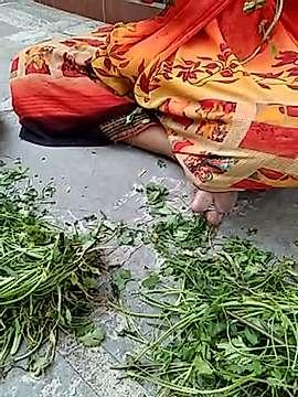 Pratibha-