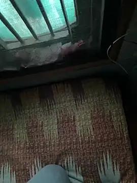 Punjabi_pataka