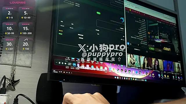 Puppy_Pro