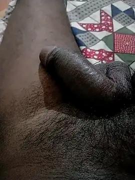 RRBLR195