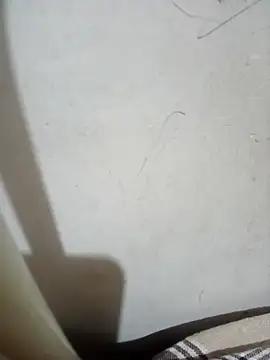 Raj__880