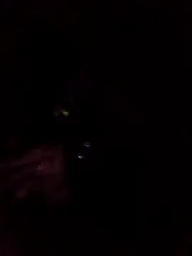 Redlemur23