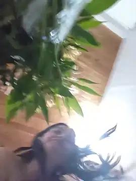 SAMMY_30-