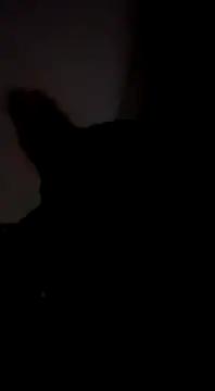 SLmilfandboy91