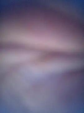 SOLTEIRASIGILO