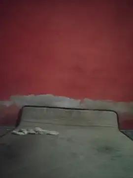 Sann332