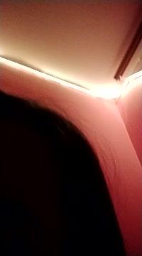 Sex_nika