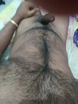 Shan2914