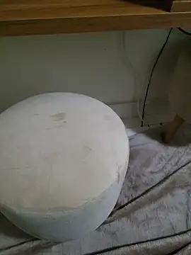 Socorristagato