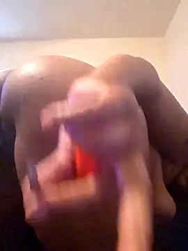 StallionMilf