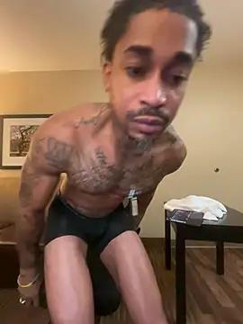 StillArQuez