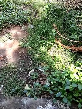 Tamil_bigdick