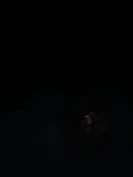ThiagoFortal