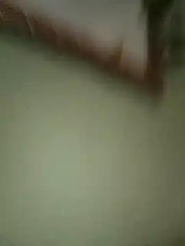Tigresasua