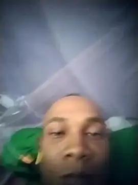 Tiigrepolla
