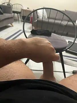 Turkish_power31