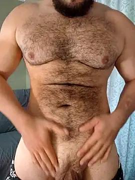 Urso_y_panda