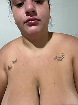 Vanessinhadappkrosa