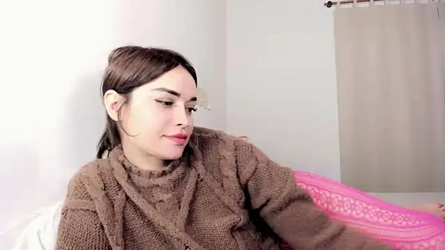 WEPCAMMODELL