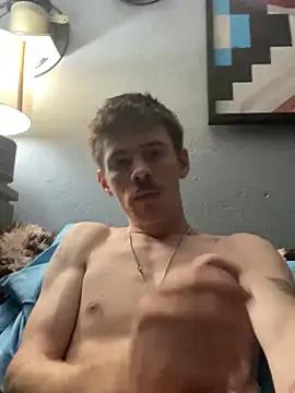 WhiteBullD317
