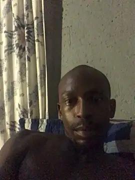 XHumbleD1