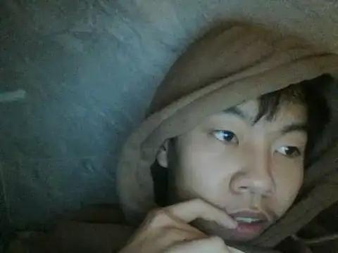 __bear__