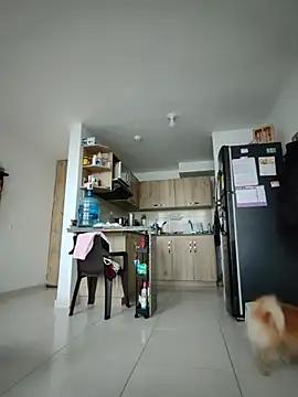 _amanda_seyfried19