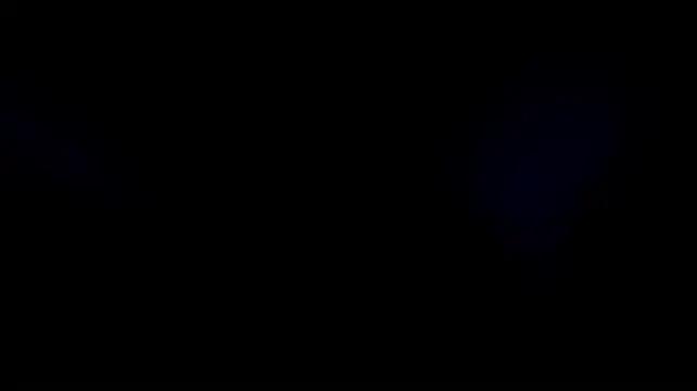 _soyniko24