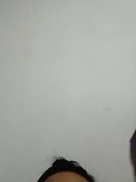 alexawillys