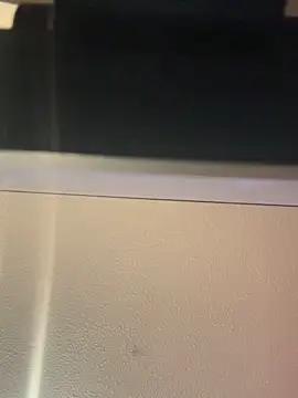 analprincessmegan