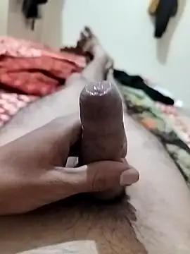 anjalipuss