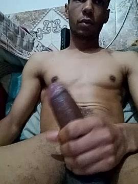 bbwse